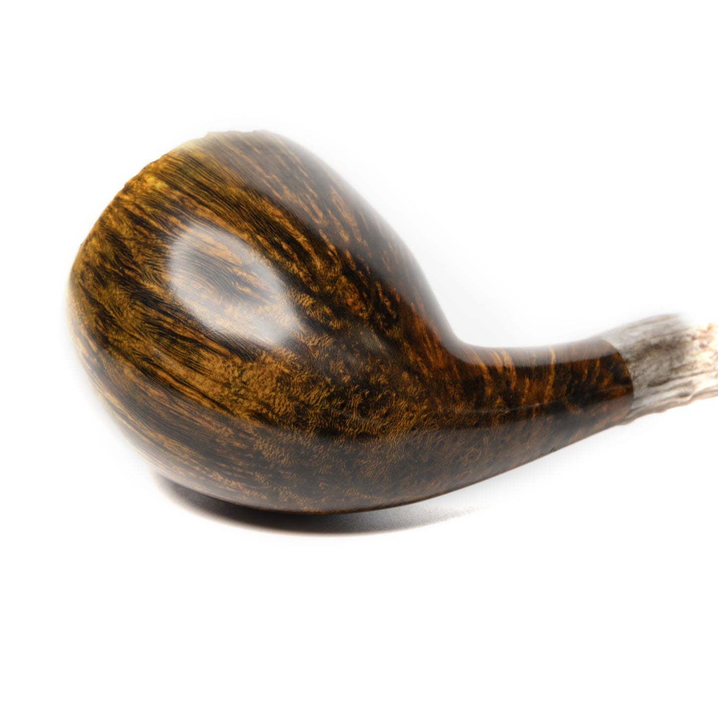 Acorn
