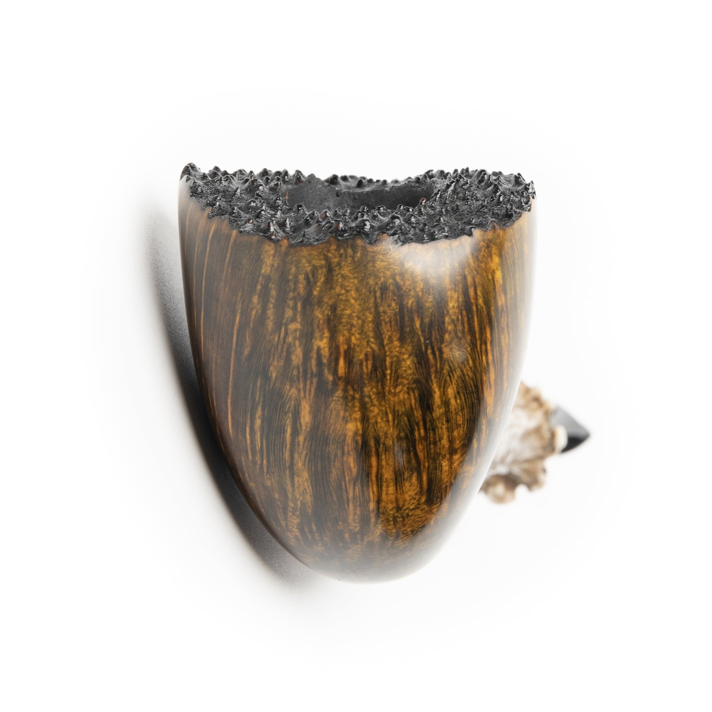 Acorn